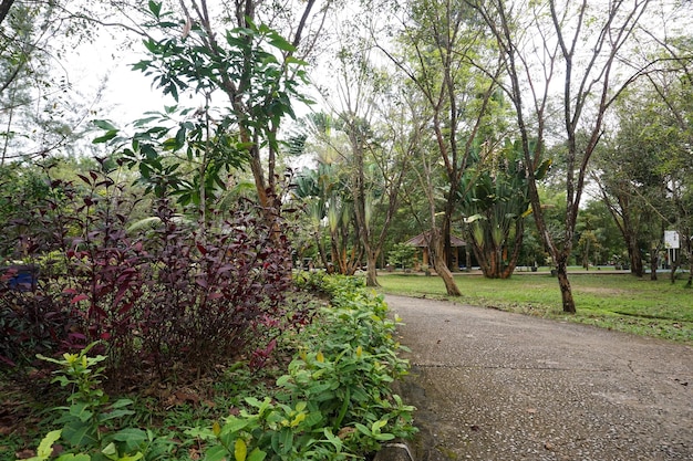 Een recreatiepark Sekupang hertenkamp, vol charmante voorwerpen, waaronder koivissen, enz