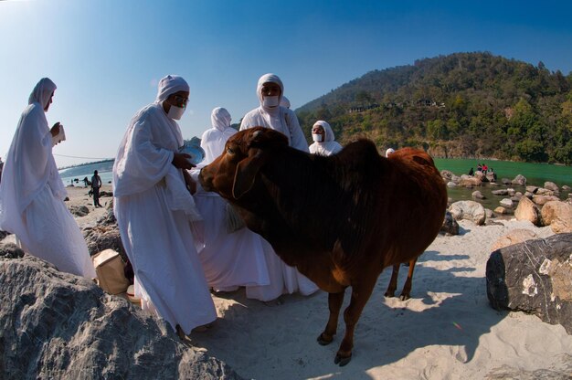 Foto een reis naar rishikesh voor raften en sightseeing