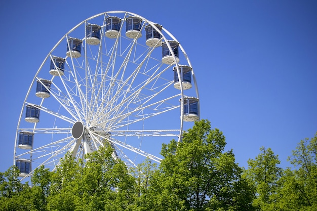 Een reuzenrad in een park met bomen op de achtergrond