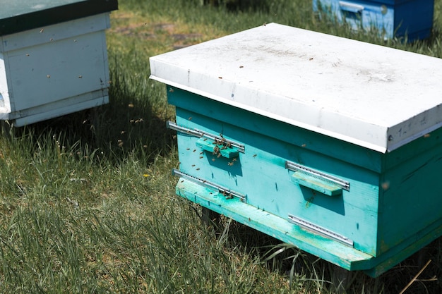 Een rij bijenkorven in een particuliere bijenstal in de tuin Honingindustrie