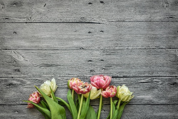 Een rij tulpen op een houten ondergrond