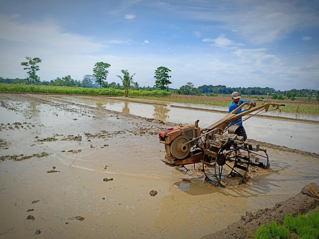 Foto een rijstveldploeger met natuurlijke natuurlijke schoonheid