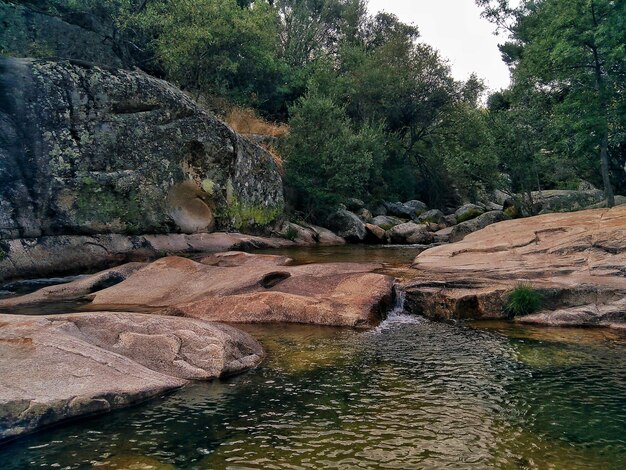 Foto een rivier die door rotsen in het bos stroomt.