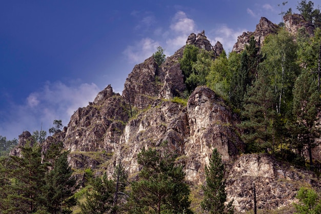 Een rivier en beboste bergen langs de oevers Zomerlandschap schoonheid van de natuur