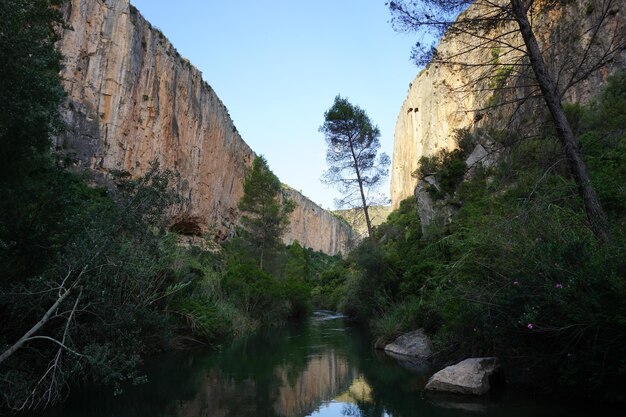 Een rivier in de bergen met aan de linkerkant een boom