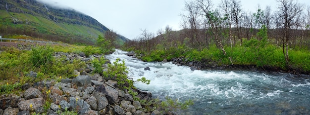 Een rivier in Noorwegen. Zomer bewolkt panorama.