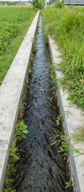 Een rivier loopt door een grasveld.
