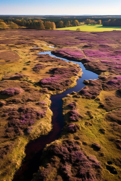 een rivier loopt door een veld met paarse bloemen