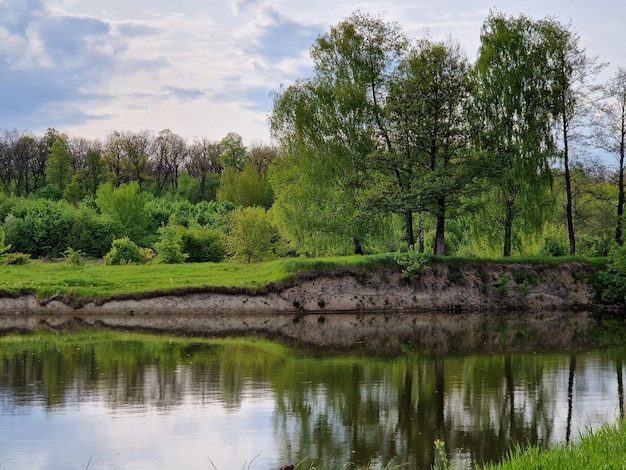 Een rivier met bomen en een groen veld op de achtergrond