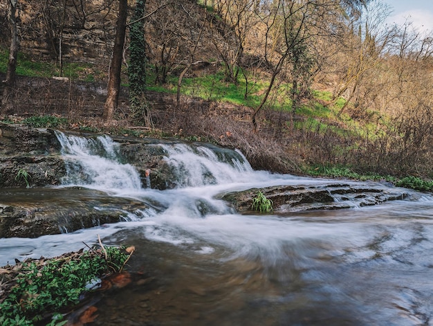 Een rivier met een kleine waterval en een boom op de achtergrond