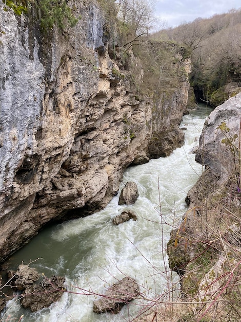 Een rivier met een rotswand en een boomtak