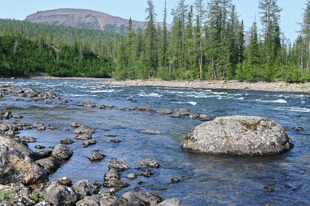 Een rivier op het Putorana-plateau