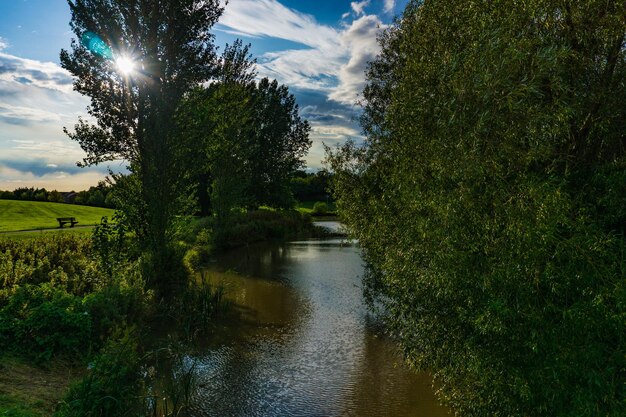 Foto een rivier tussen de bomen tegen de lucht.