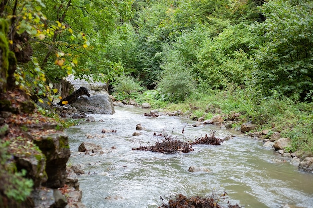 een riviertje in de herfst is vervuild met takken