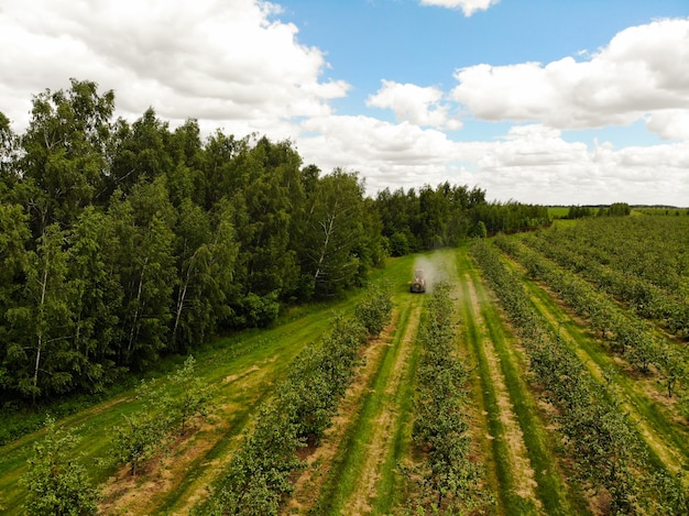 Een rode tractor spuit pesticiden in een appelboomgaard en spuit een appelboom met een tractor