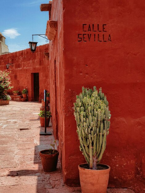 Een rood gebouw met een cactus ervoor die zegt el seile seile pavillion.