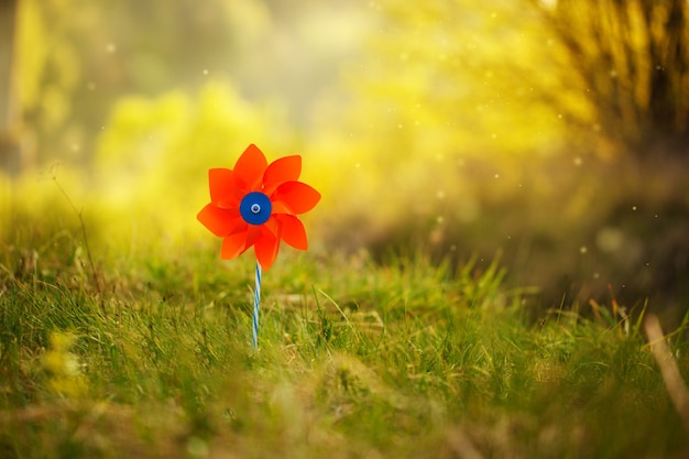 Een rood vuurrad tegen de achtergrond van de natuur in zonnige zomerdag