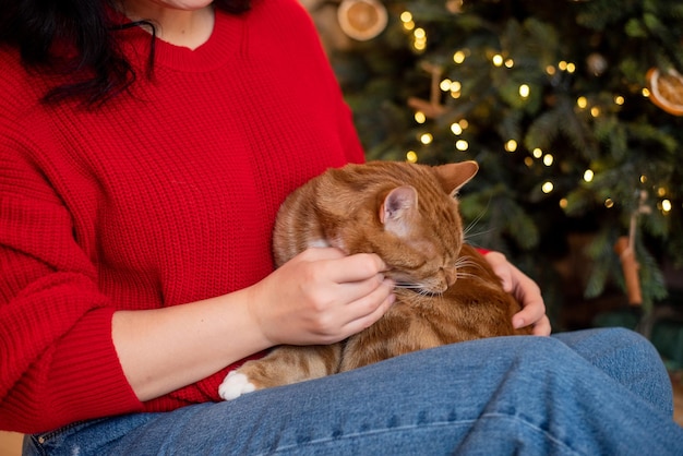 Een roodharige kat zit bij een meisje in een rode trui die een huiskat aait