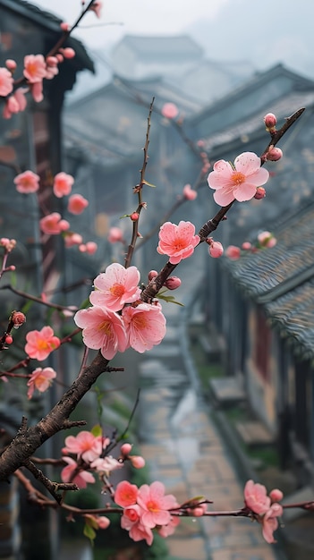 Een roze bloeiende twijg voor het gebouw voegt schoonheid toe