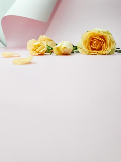 Een roze doos met gele rozen erop staat op een roze achtergrond.