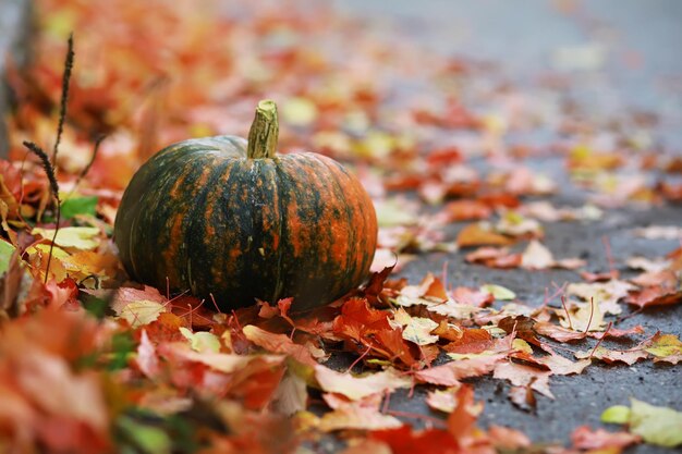 Een rustiek herfststilleven met pompoenen en gouden bladeren op een houten oppervlak Fel zonlicht dat van achteren komt