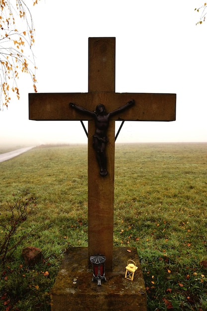 Foto een rustige landschap met gras.