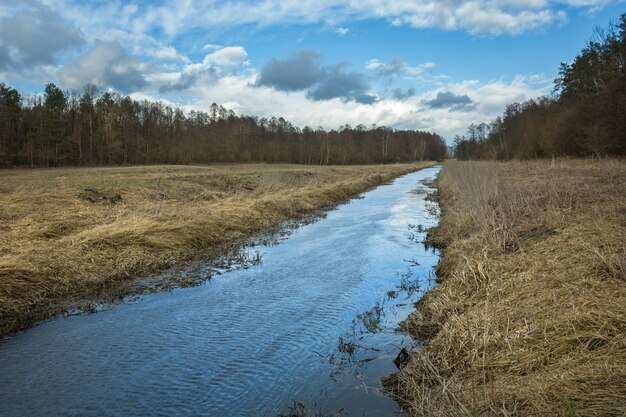 Foto een rustige rivier en droog gras aan de oevers bos en wolken