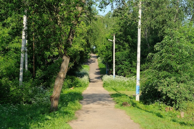 Een rustige straat in een klein dorpje op een zomerochtend Moskou regio Rusland