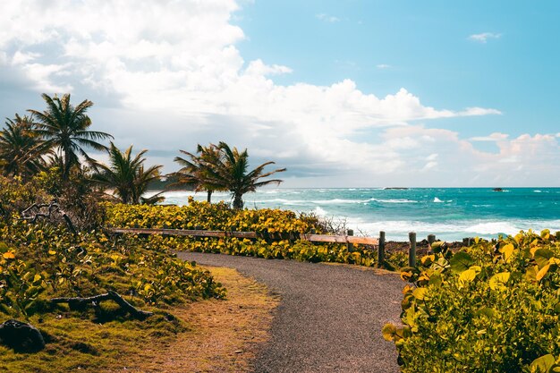 Foto een rustige tropische kustpad met een mooi uitzicht op de kust met paden vanuit puerto rico.