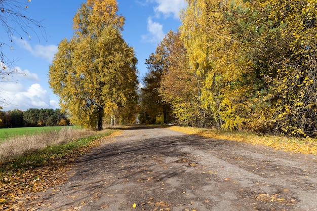 Een rustige weg in het herfstseizoen