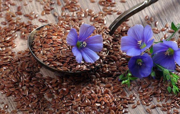 Foto een schaal met blauwe bloemen met paarse bloemen.