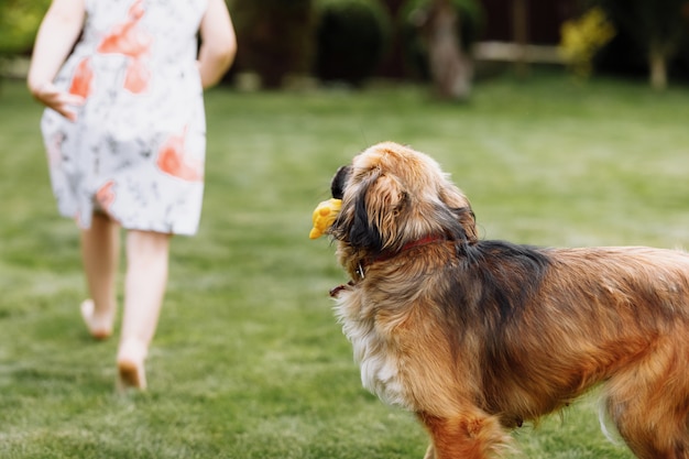 Een schattig klein meisje speelt met haar hond buiten op gras thuis