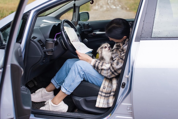 Een schattig meisje zit in een auto achter het stuur met een chihuahua en een wegenkaart glimlachend