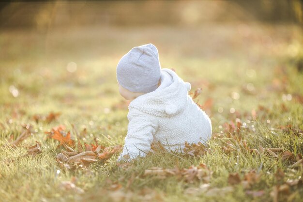 Foto een schattige baby kruipt in gevallen bladeren in het ochtendzonlicht.