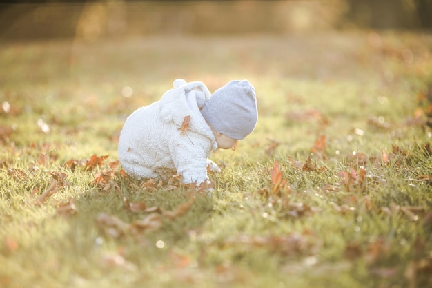 Foto een schattige baby kruipt in gevallen bladeren in het ochtendzonlicht.