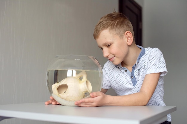 Een schattige jongen kijkt in een rond aquarium met vissen en glimlacht Liefde voor huisdieren