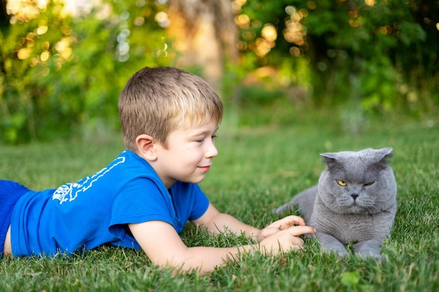 Een schattige kleine jongen speelt met een pluizige kat Schotse vouw op een groen gazon in het park in de zomer Kinderen en dieren vriendschap zorg