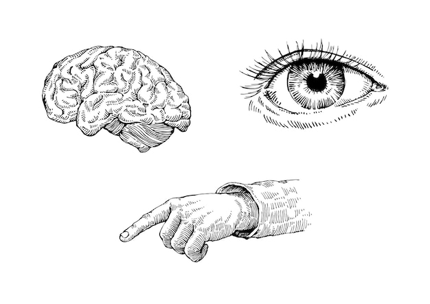 Een schets van een brein en een hand met het oog getekend in zwart-wit.