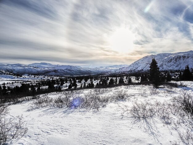 Foto een schilderachtig uitzicht op besneeuwde bergen tegen de lucht