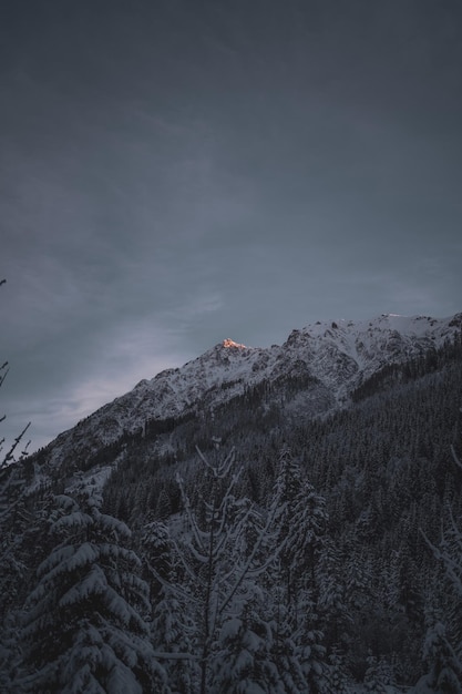 Foto een schilderachtig uitzicht op besneeuwde bergen tegen de lucht