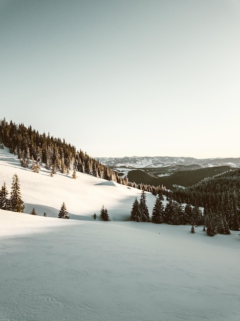 Foto een schilderachtig uitzicht op besneeuwde bergen tegen een heldere lucht