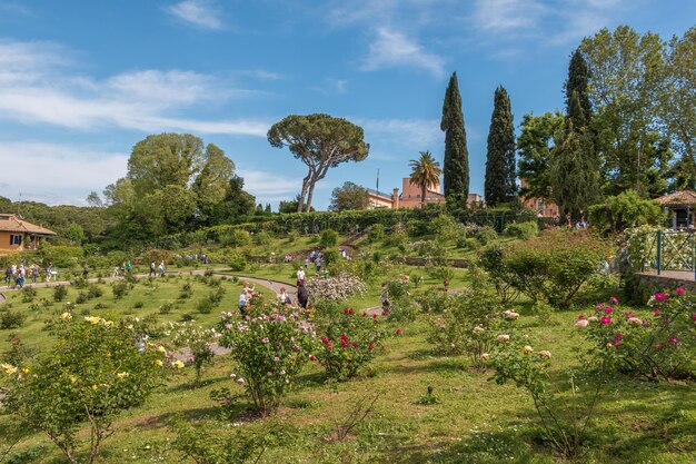 Foto een schilderachtig uitzicht op bloeiende planten en bomen tegen de lucht