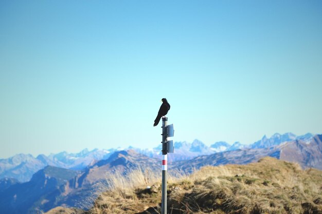 Foto een schilderachtig uitzicht op de bergen tegen een heldere blauwe hemel