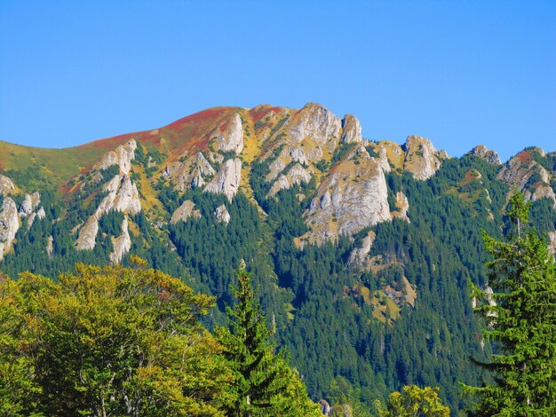 Foto een schilderachtig uitzicht op de bergen tegen een heldere blauwe lucht