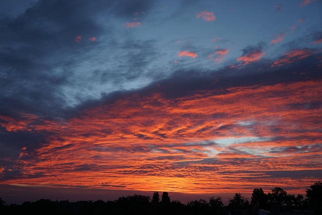 Een schilderachtig uitzicht op de dramatische hemel boven de silhouetten van bomen bij zonsondergang