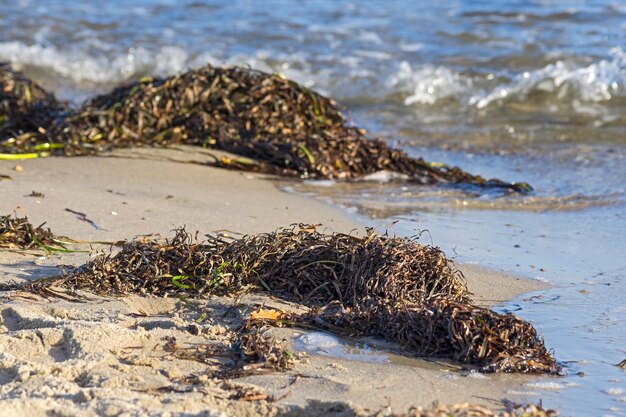 Een schilderachtig uitzicht op de kust