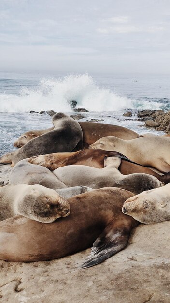 Foto een schilderachtig uitzicht op de kust