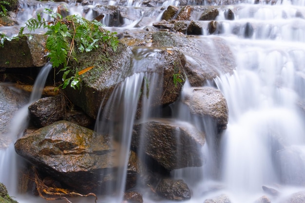 Een schilderachtig uitzicht op de waterval