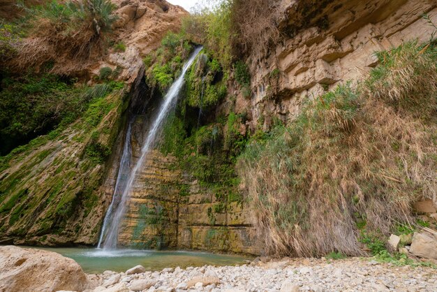 Een schilderachtig uitzicht op de waterval