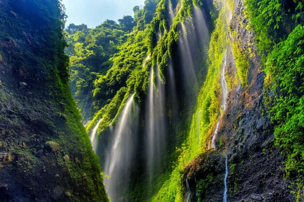 Foto een schilderachtig uitzicht op de waterval